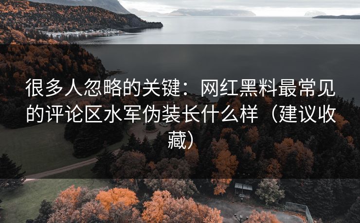 很多人忽略的关键：网红黑料最常见的评论区水军伪装长什么样（建议收藏）