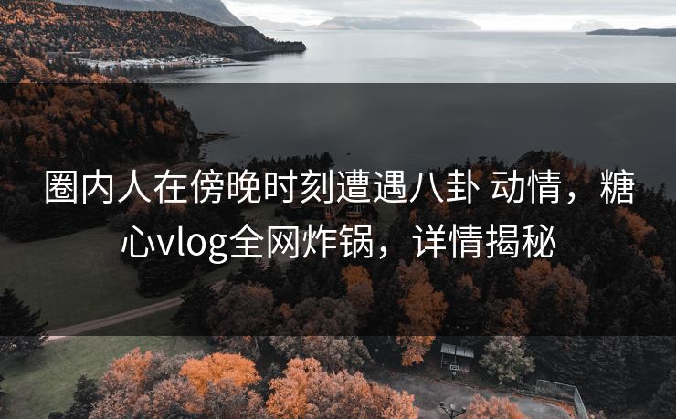 圈内人在傍晚时刻遭遇八卦 动情，糖心vlog全网炸锅，详情揭秘